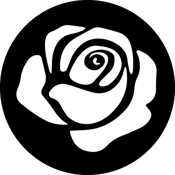 Rose Flower