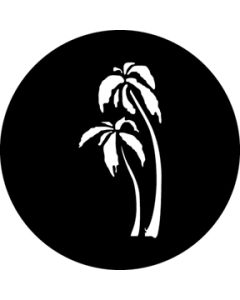 Palm Trees
