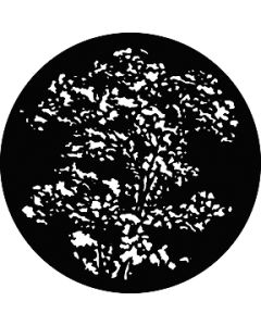 Treetop