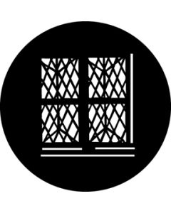 Tenement Windows