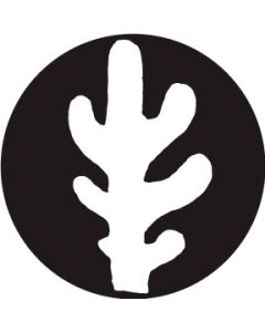 Tucci Cactus 1