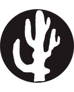 Tucci Cactus 2