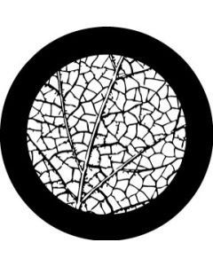Leaf Veins small