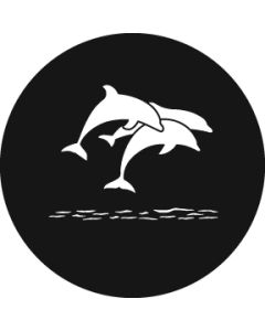 Dolphins