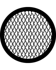 Fish Scales