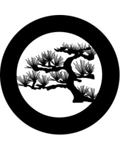 Desert pine
