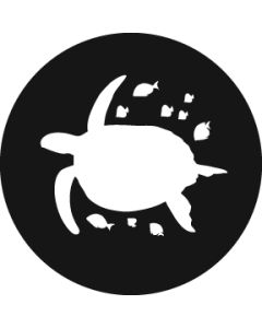 Sea Turtle