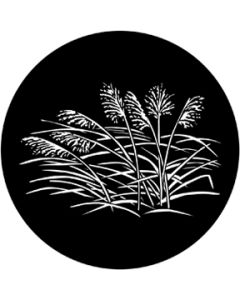 Grasses 2