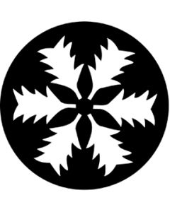 Snowberry
