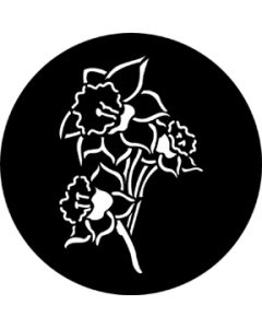 Daffodil