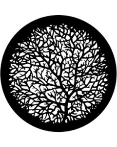 Bare Branches 2