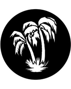Palm Tree