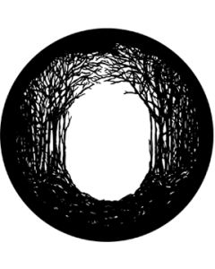 Winter Glade