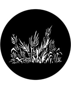 Grasses