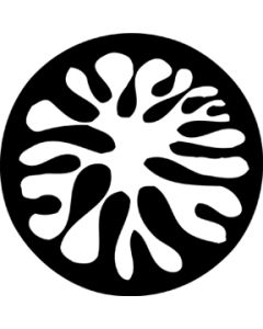 Brain Splat