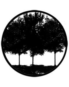 Tree Silhouette 1