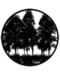 Tree Silhouette 2