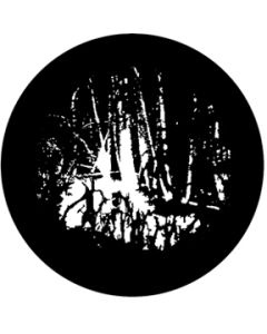 Swamp