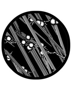 Bamboo Flower