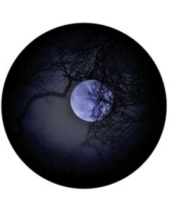 Hiding Moon