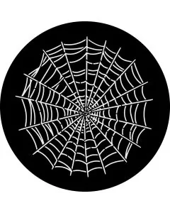 Spider Web White