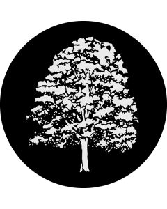 Tree 1
