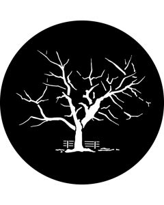 Winter Oak