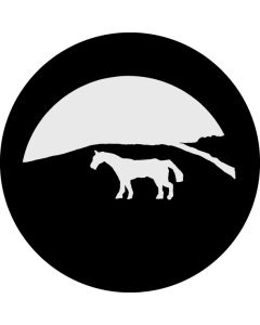 White Horse